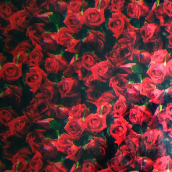 Papel Seda Fantasía - Imagen 5